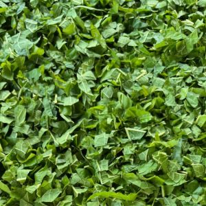 Maulbeerblätter am Trocknen