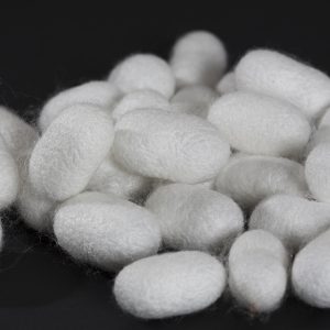 Seidenkokons – Produziert auf dem Bauernhof
